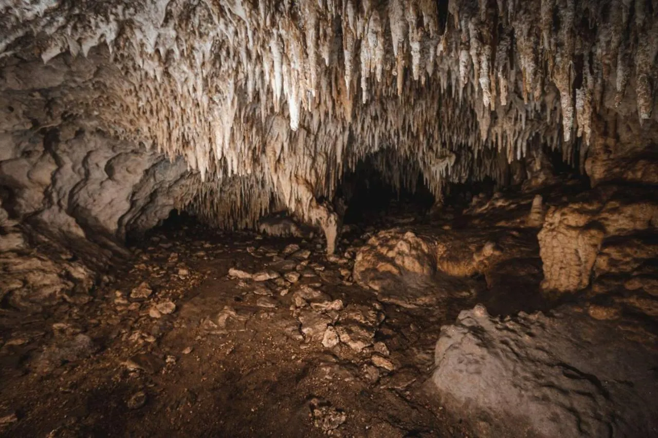 Xcaret Oasis Private Cave For 3 Hotel Playa del Carmen 0*,