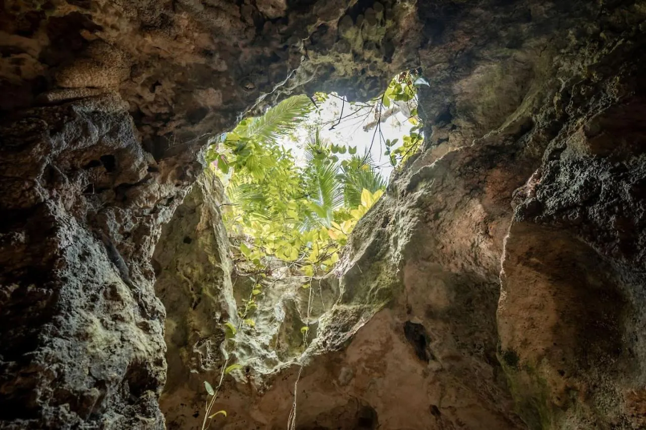Xcaret Oasis Private Cave For 3 Hotel Playa del Carmen Luxury tent